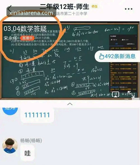 新利体育官网功能详解实用指南：从登录到支付的全流程解析